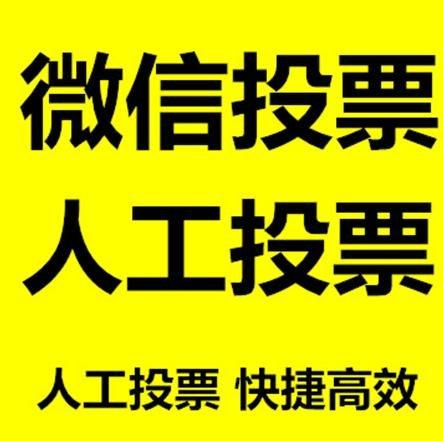 四平市投票活动拉票能被查出来吗？如何操作能不被发现？